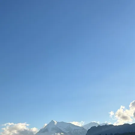 Privado Em Einigen - Spiez Apartment